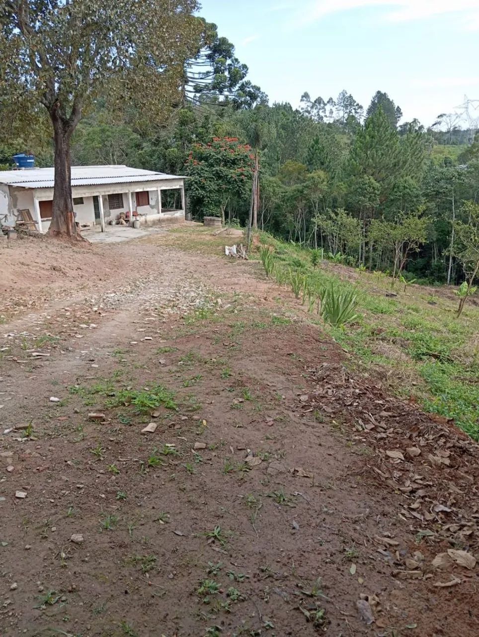 Área de 6.000m2 quadrados 