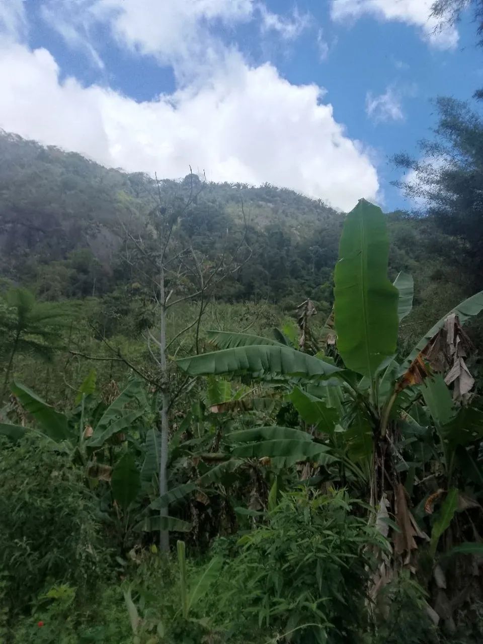 Vende-se  - Foto 2