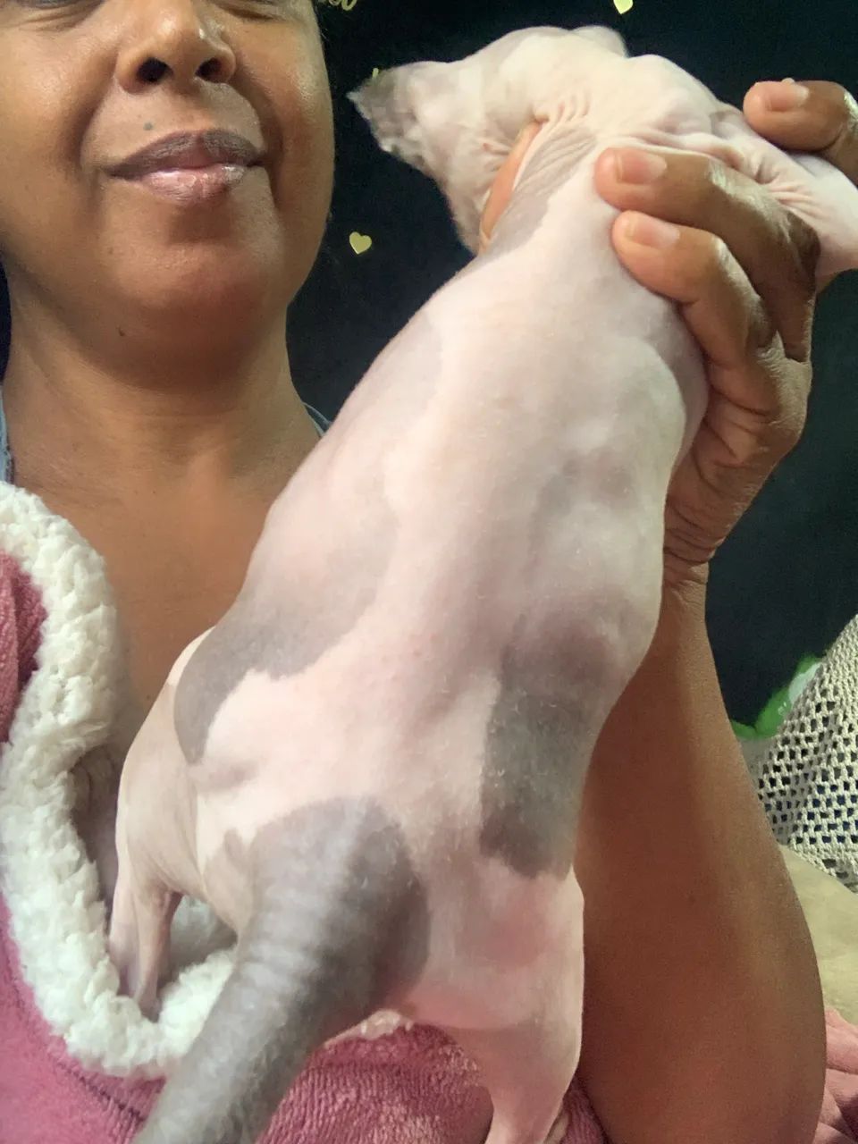 Fêmea 3 meses - Foto 4