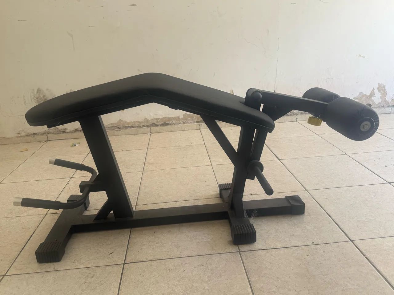 Mesa flexora, academia 