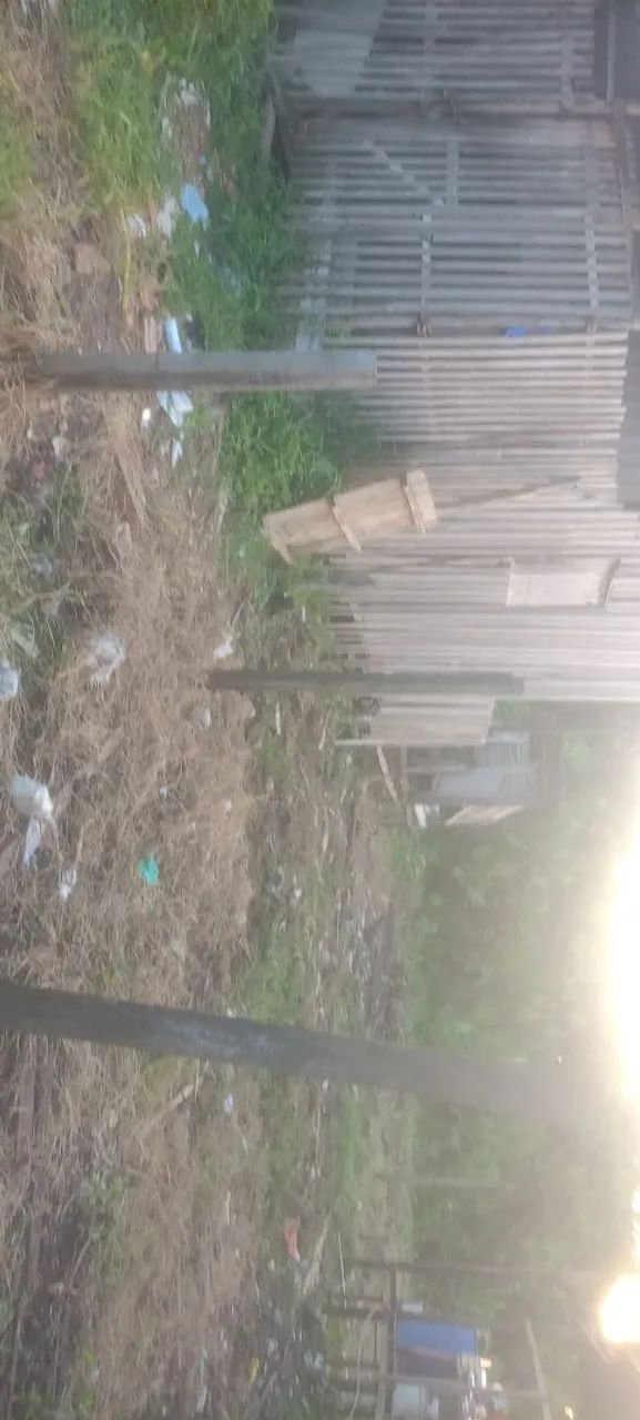 Venda terreno em Icoaraci área do riso  - Foto 2