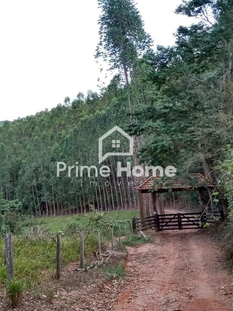 fazenda - Jacutinga - Jacutinga - Foto 4