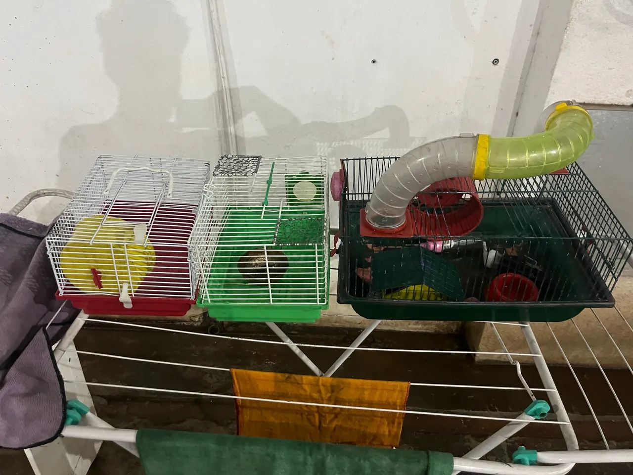 Cage65570202294019120