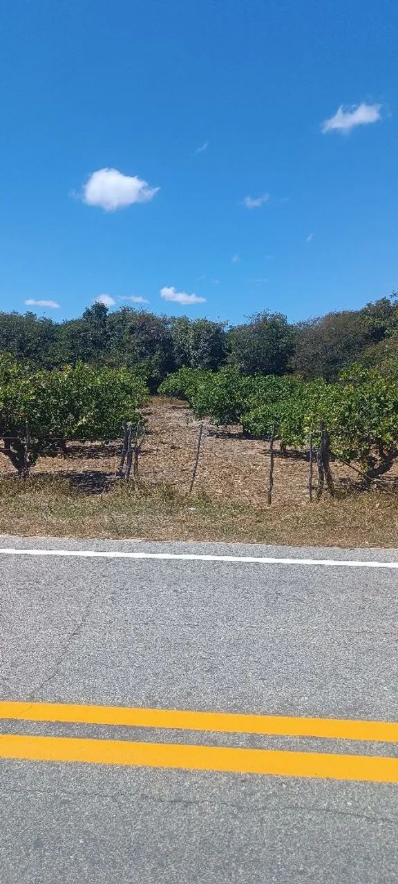 Terreno em lagoa de dentro beberibe - Foto 2