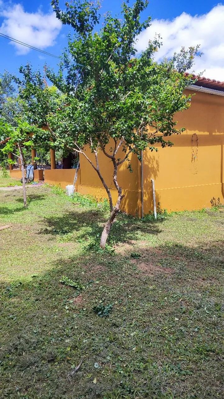 FAZENDA A  VENDA EM POSSE/GO  - Foto 4
