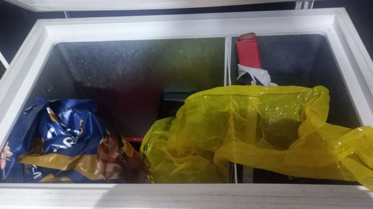 Freezer com avaria ( Compressor com defeito e sem gás) - Foto 2