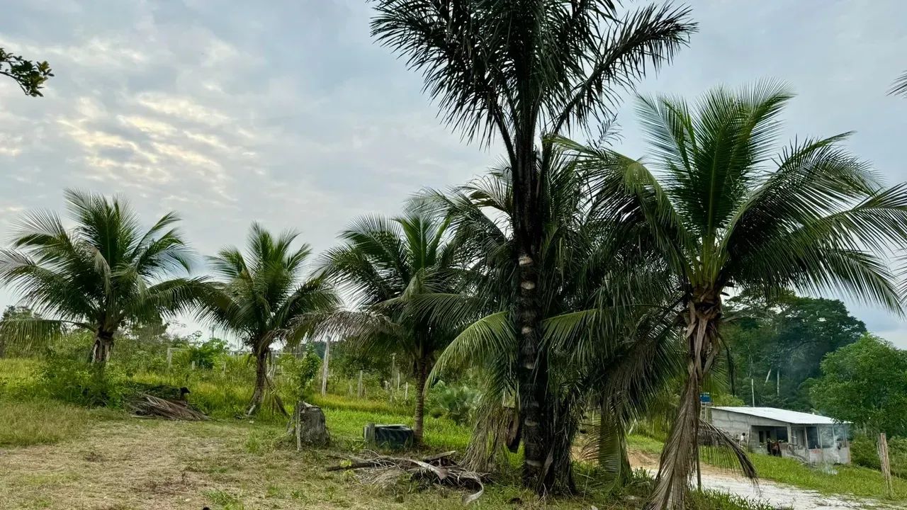 Imóvel para venda com 262800 metros quadrados - Foto 5