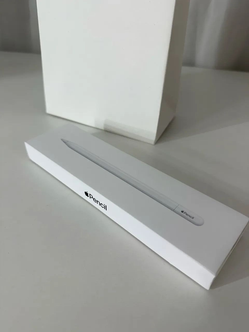 Apple Pencil USB-C (original Apple) - NOVA (aceito negociação