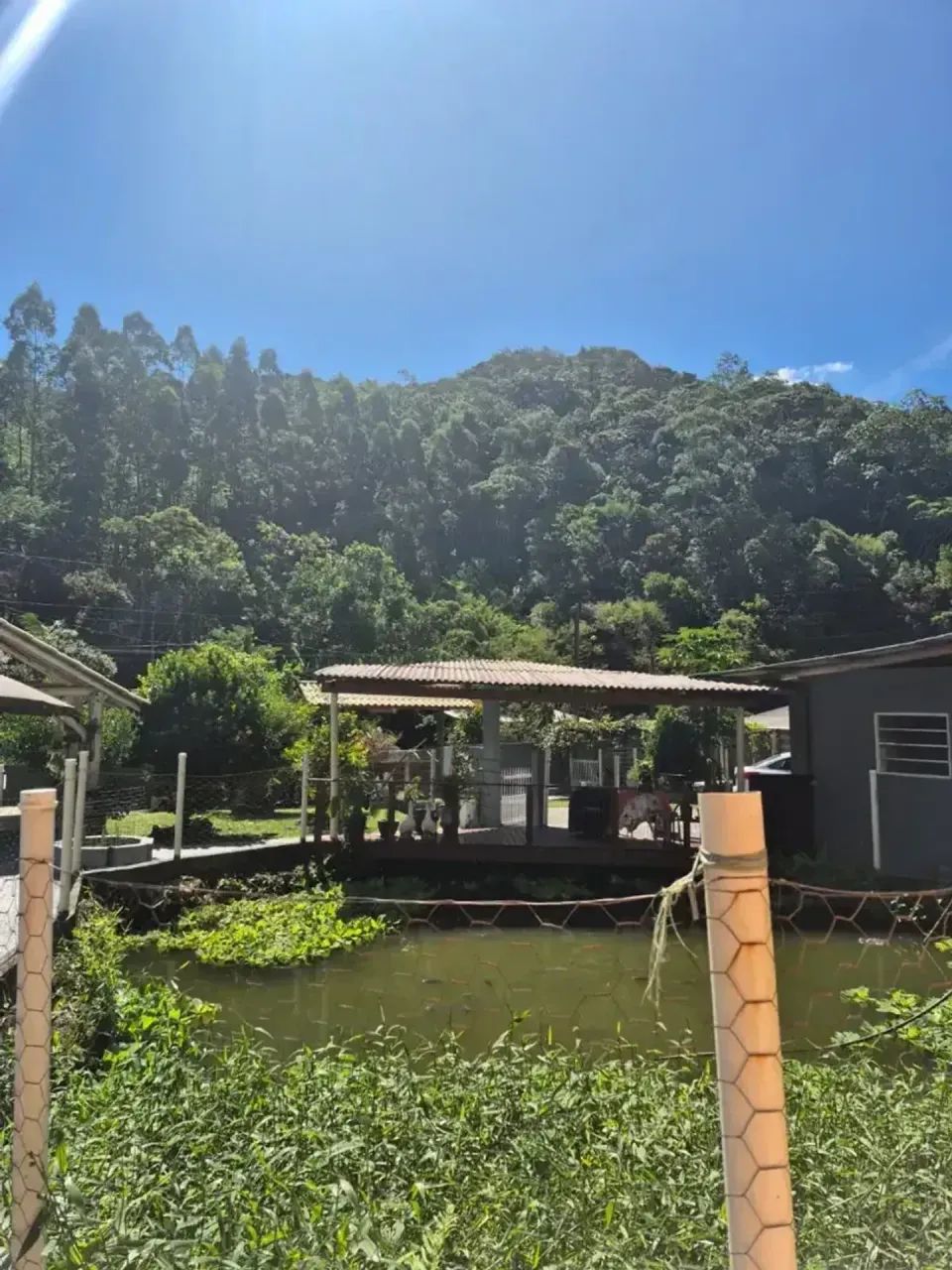 Sítio com casa em Águas Mornas  ótima localização e fácil acesso. Ideal p quem quer tranqu - Foto 3