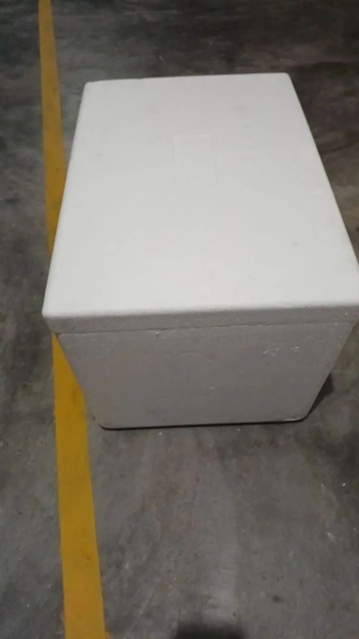 Caixa de isopor - Foto 4