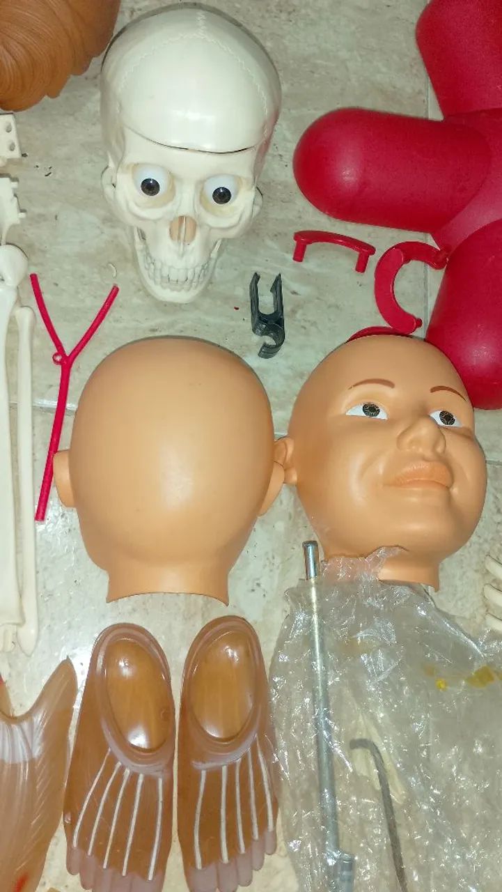 Coleção Corpo Humano SALVAT 