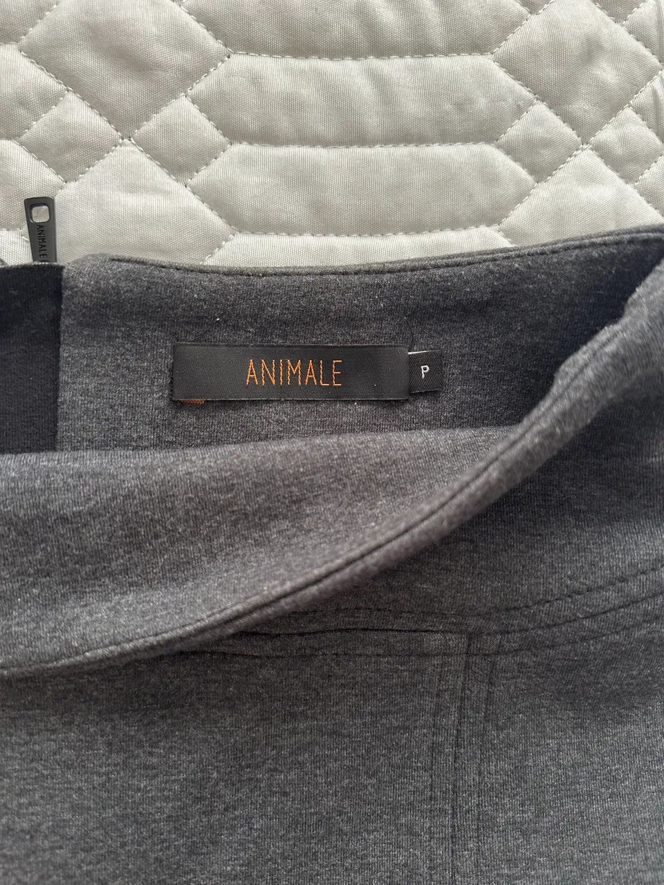 Saia - Animale - Foto 2