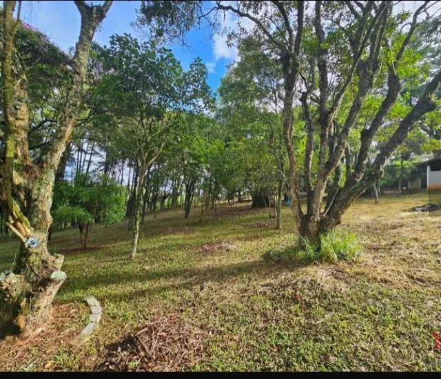 chácara com terreno  - Foto 4