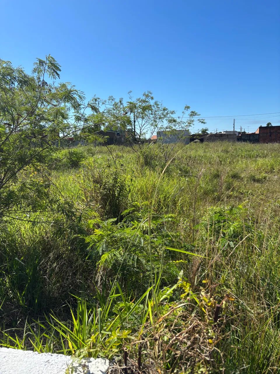 Vendo Terreno 10x25 - Foto 4