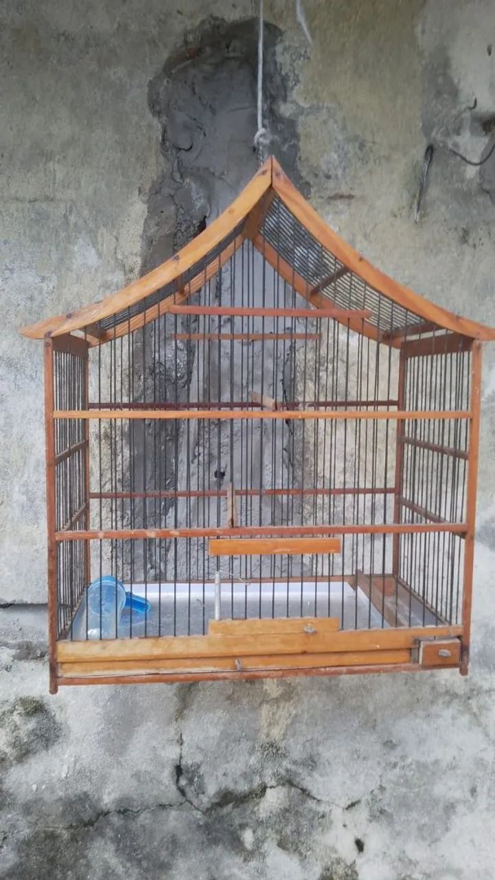 Gaiola pra passarinho  - Foto 3