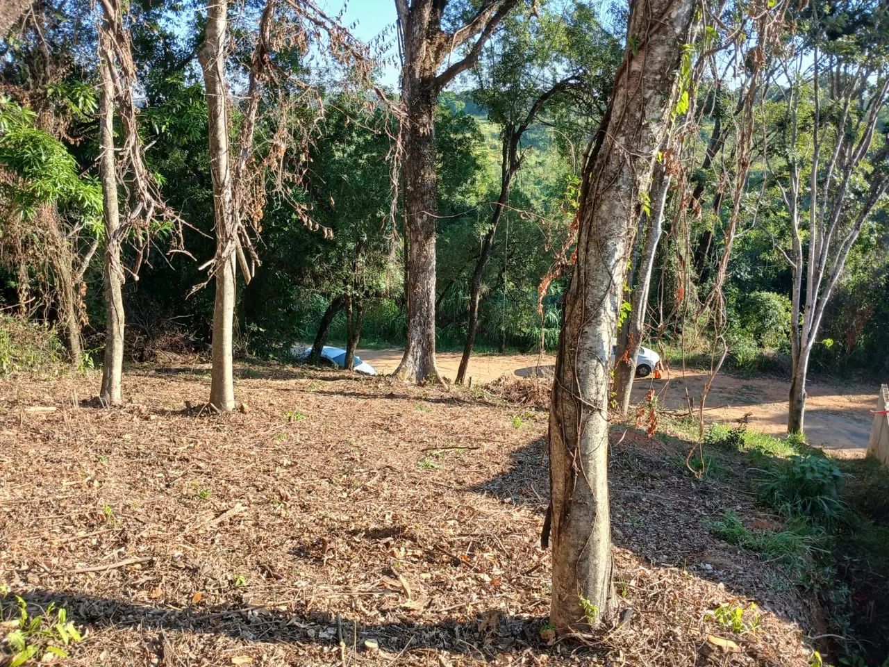 TERRENO JAGUARIUNA  - Foto 2