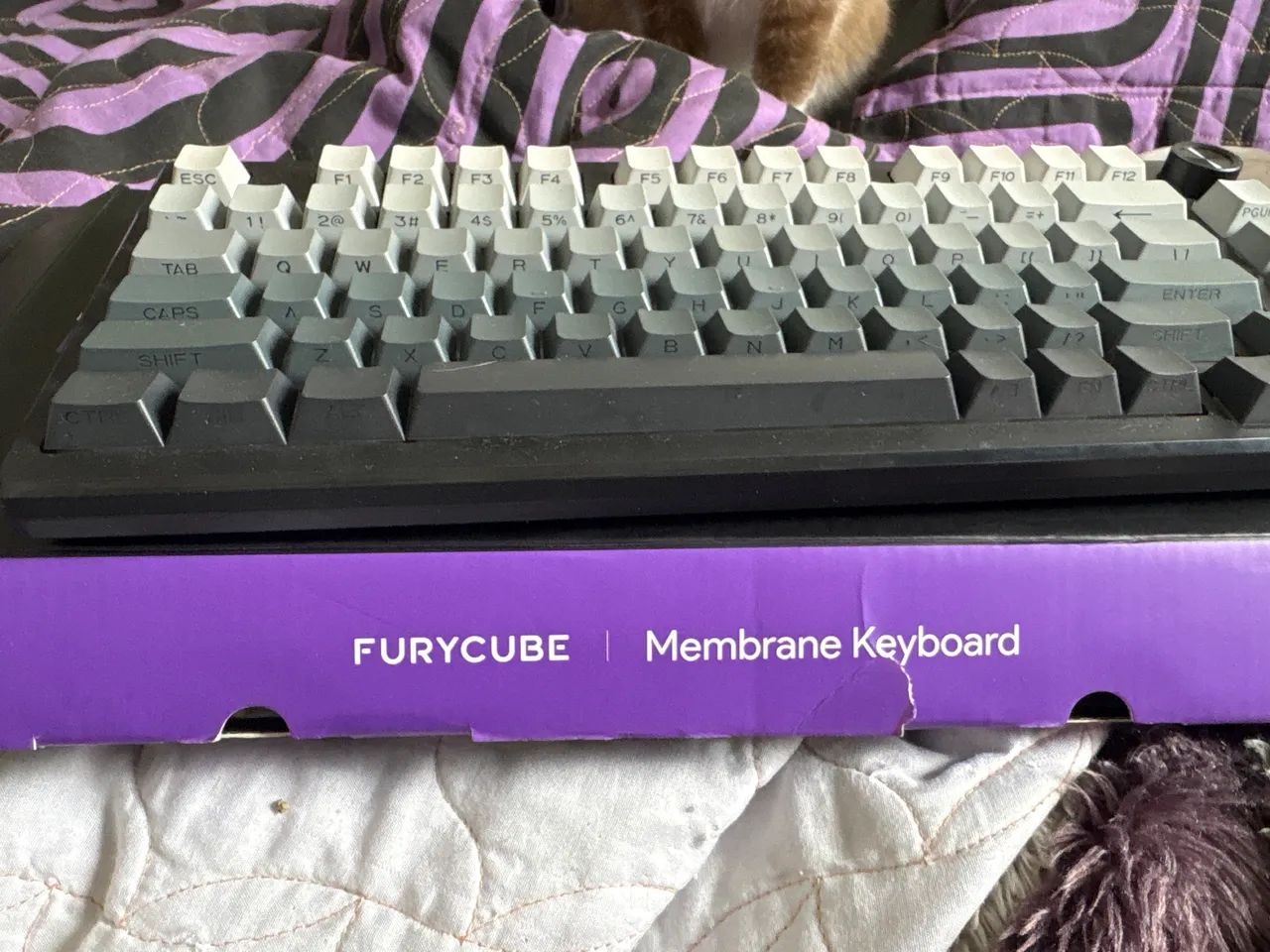 Keyboard membrane ip75 - Foto 4