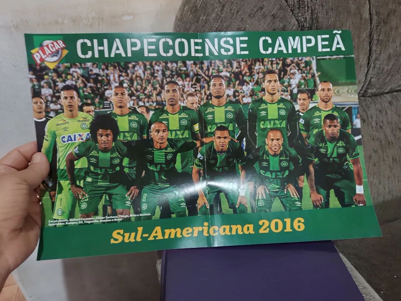 Pôster Palmeiras e Chapecoense 2016 - Foto 2