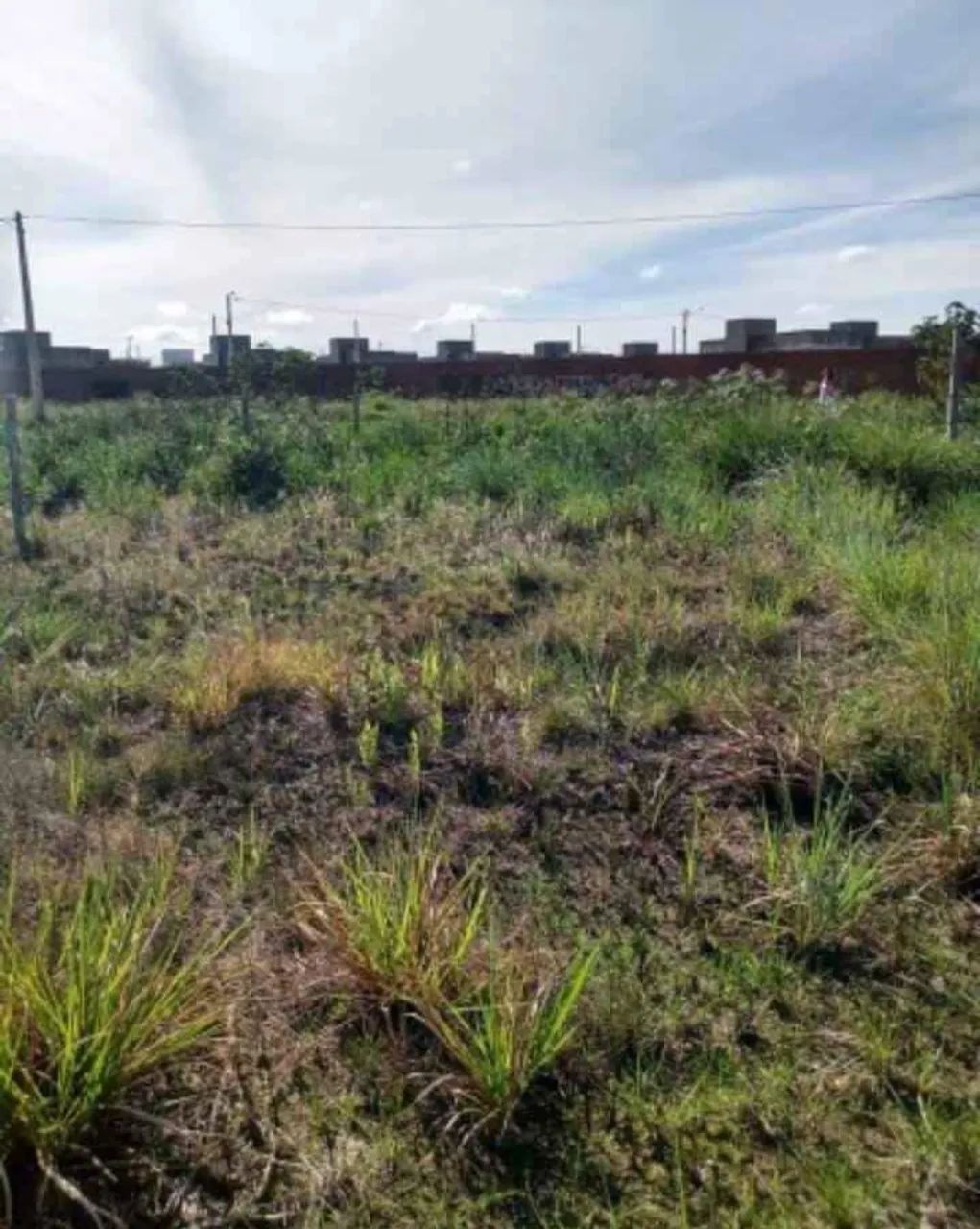 Terreno próx ao trevo do Francês  - Foto 3