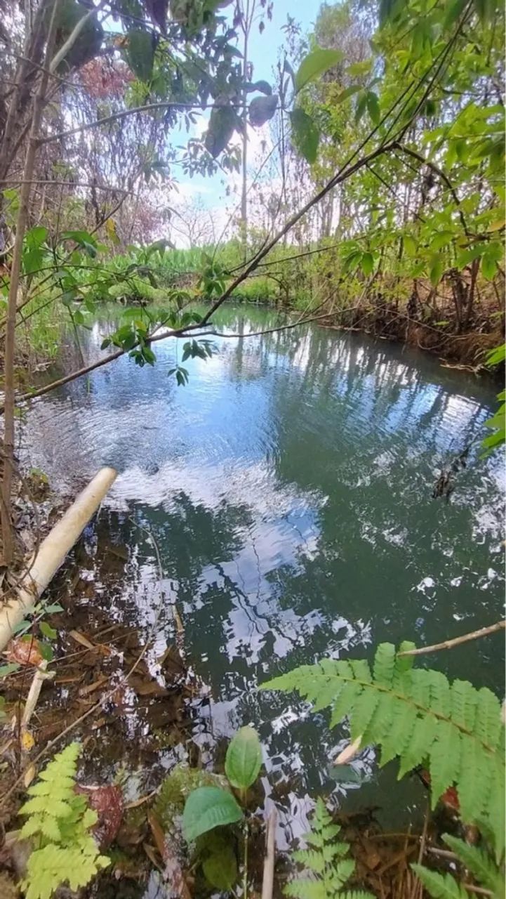 Vendo Chácara Rodeador Brazlândia 