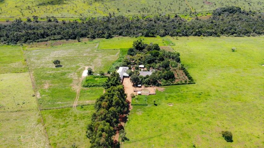 Lindo Sítio-Fazenda 60+20 Hects. - Foto 5