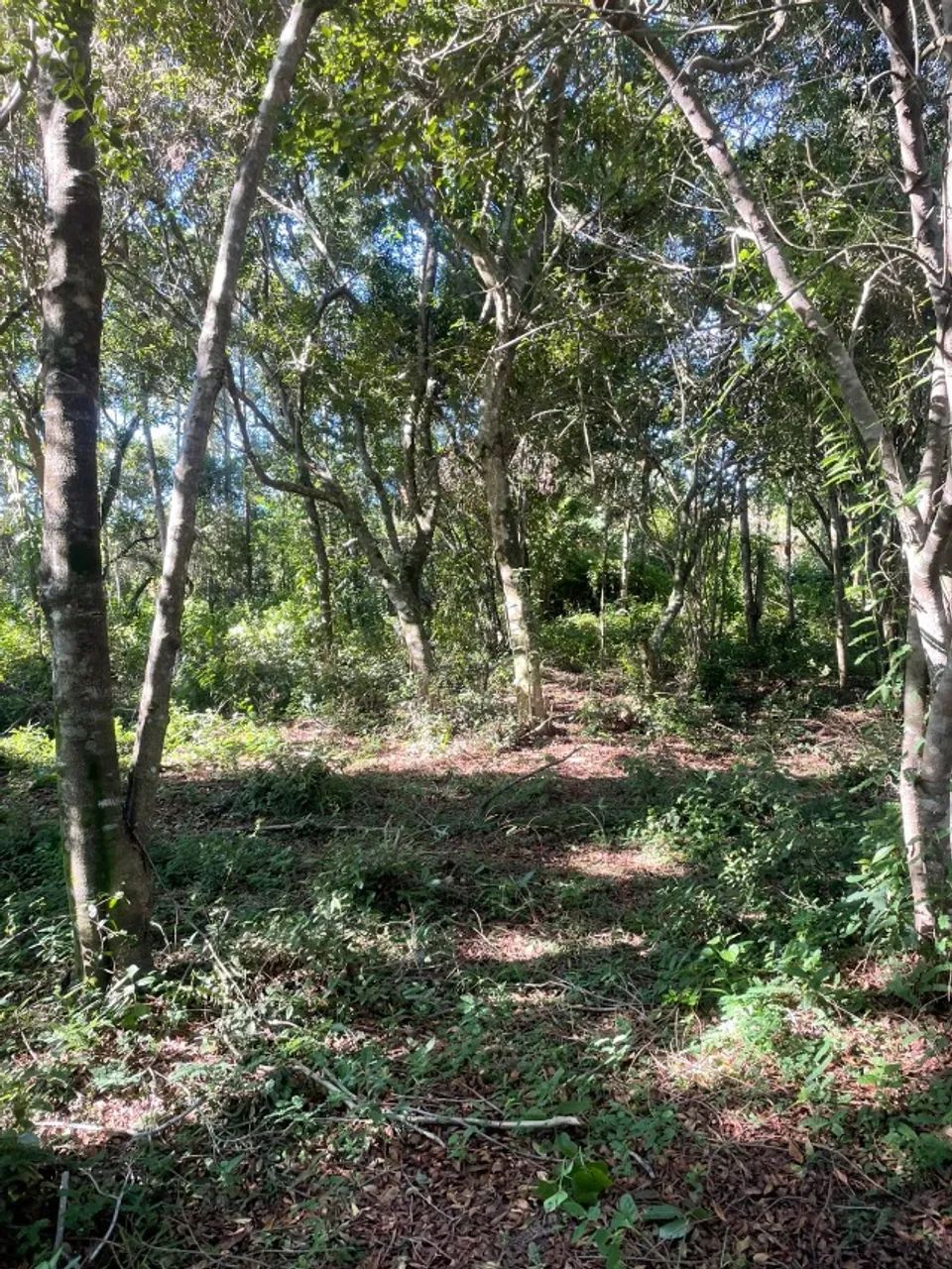 terreno no rio vermelho