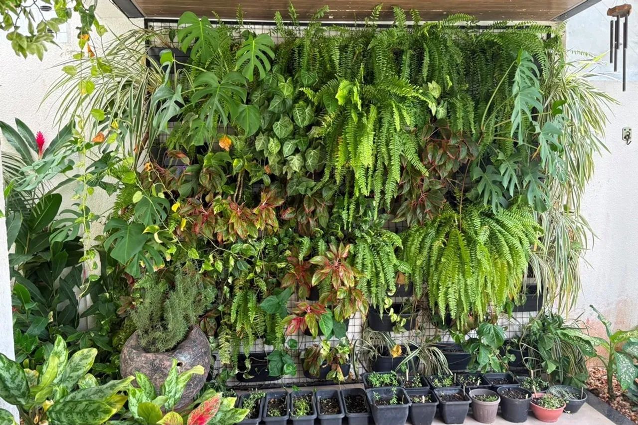 Casa Encantadora com Piscina em Paricá, Pará - Foto 3