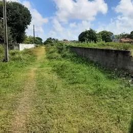 Terreno - Praia de Catuama - Foto 4
