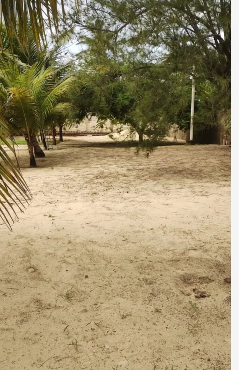 Lote na Taiba 560m2  - Foto 3