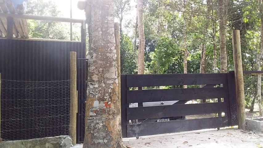 Foto - São Paulo - Jardim Danfer