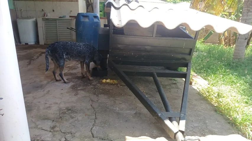 Carretinha - Foto 2