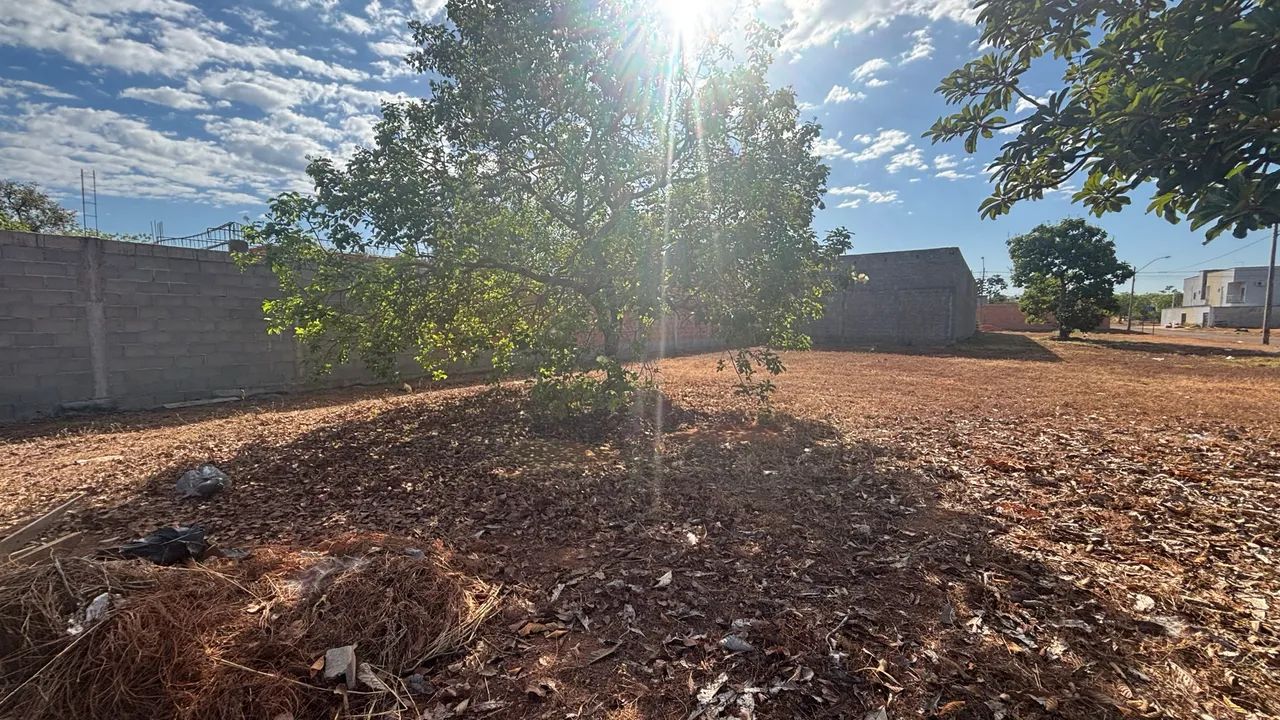 Vendo lote na 1504 sul  - Foto 3