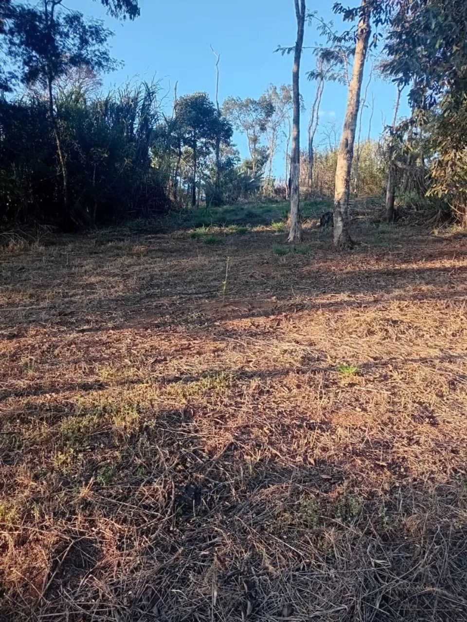 Vendo chácara  - Foto 2