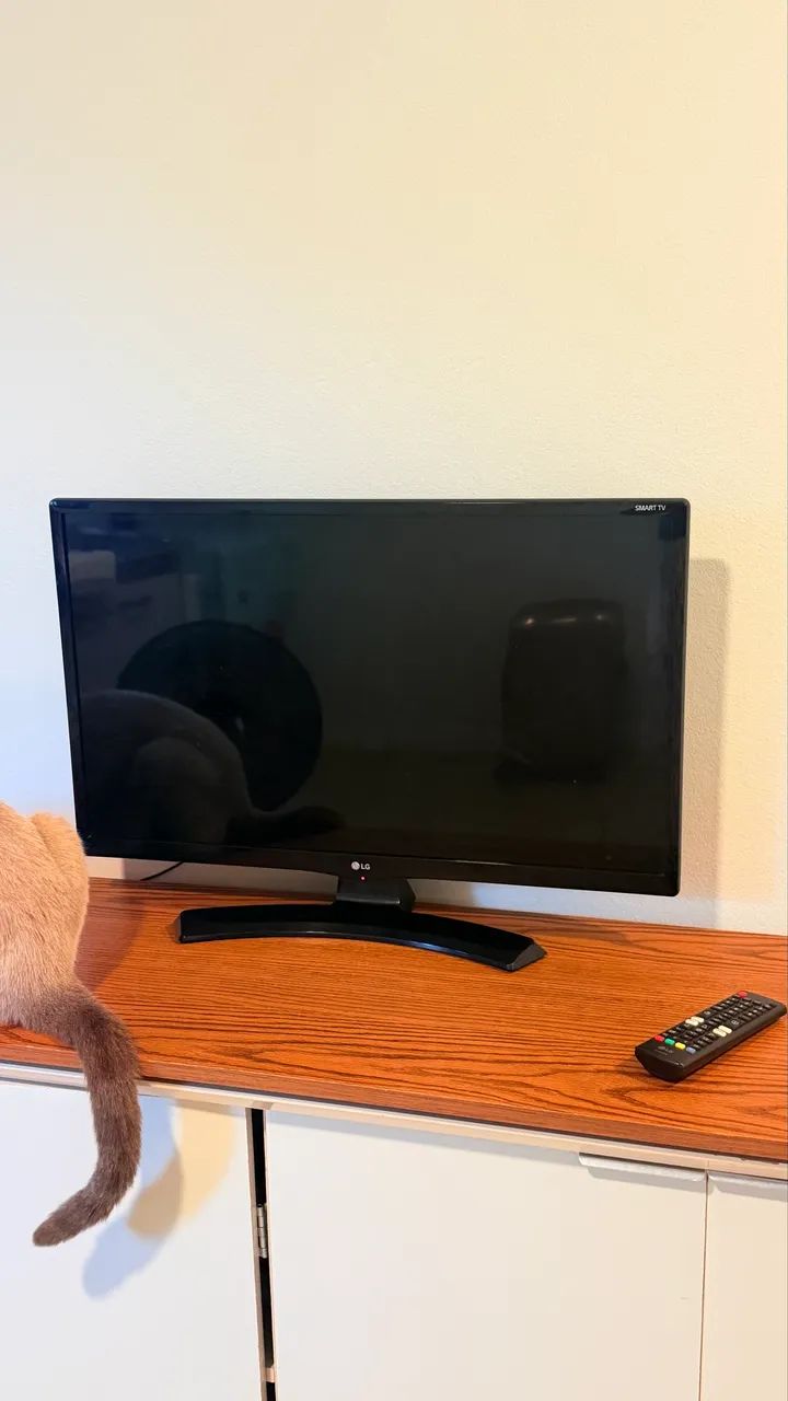 TV 32 LG