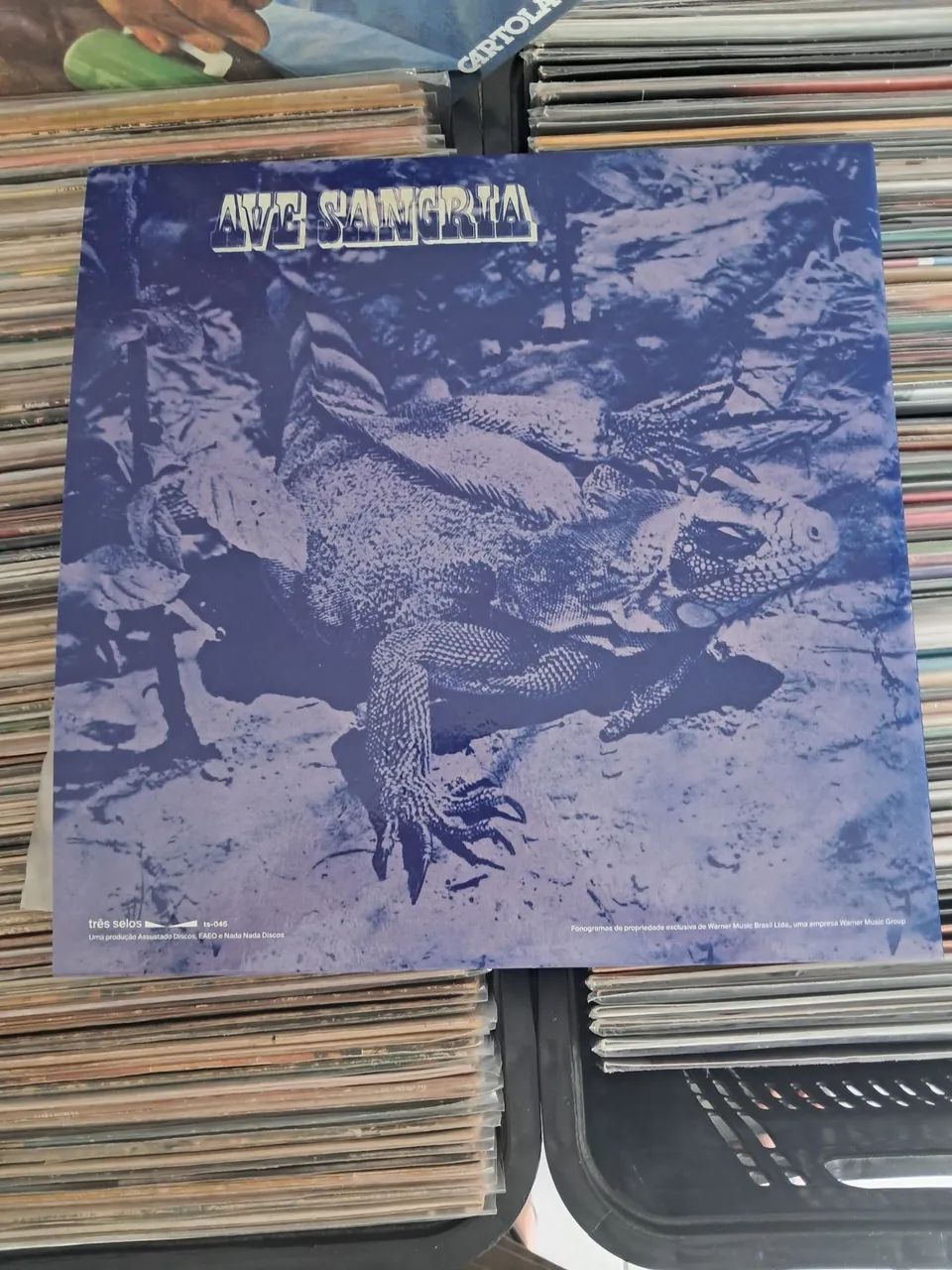 Vinil LP Ave Sangria TS Mídia laranja - Foto 2