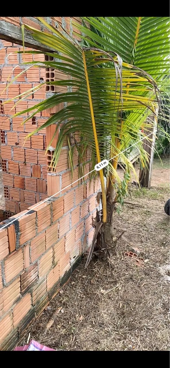 Vendo casa no PURUPURU, Estrada de Autazes  - Foto 2