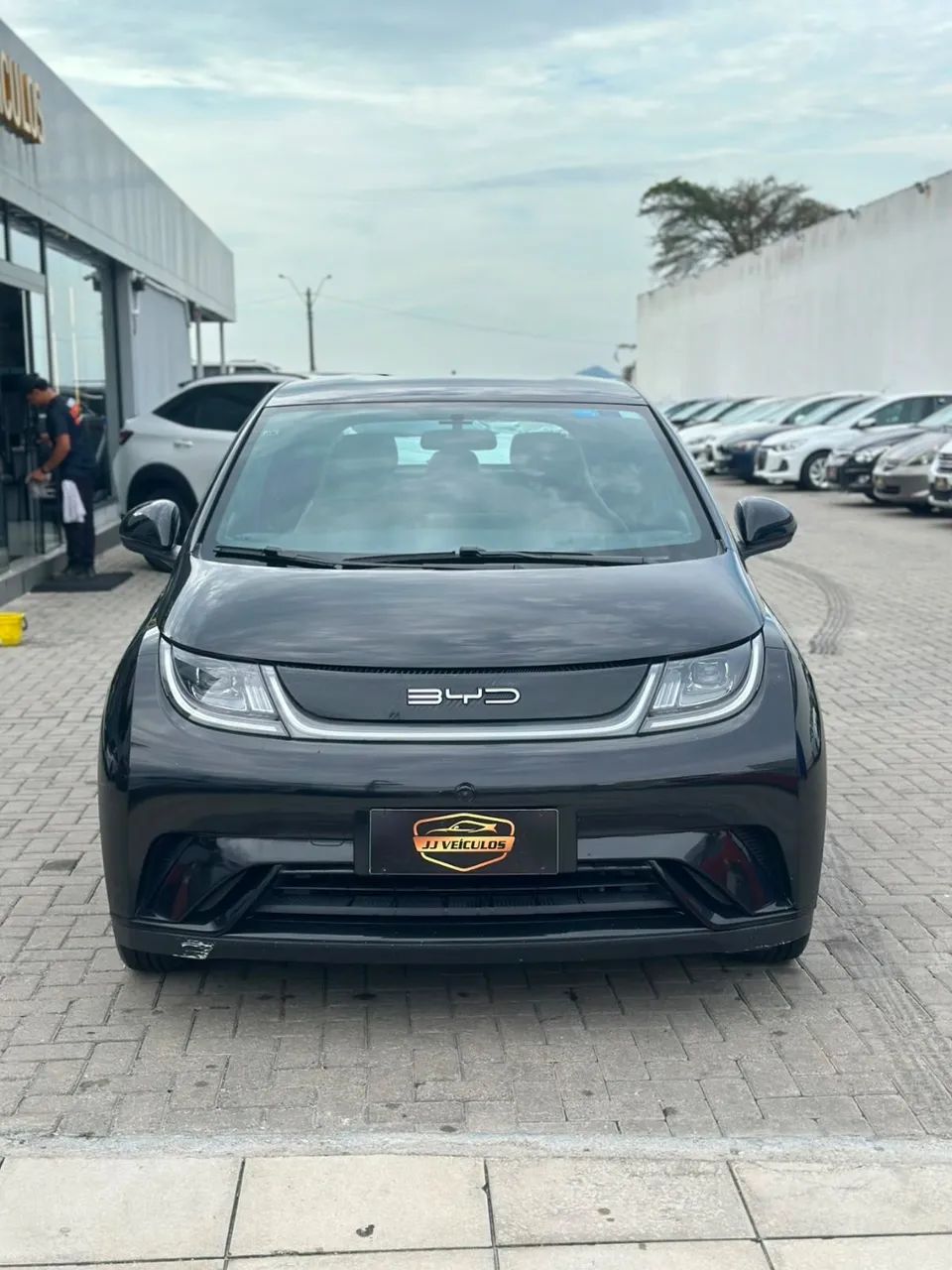 BYD Dolphin EV (Elétrico) 2024 - Foto 2