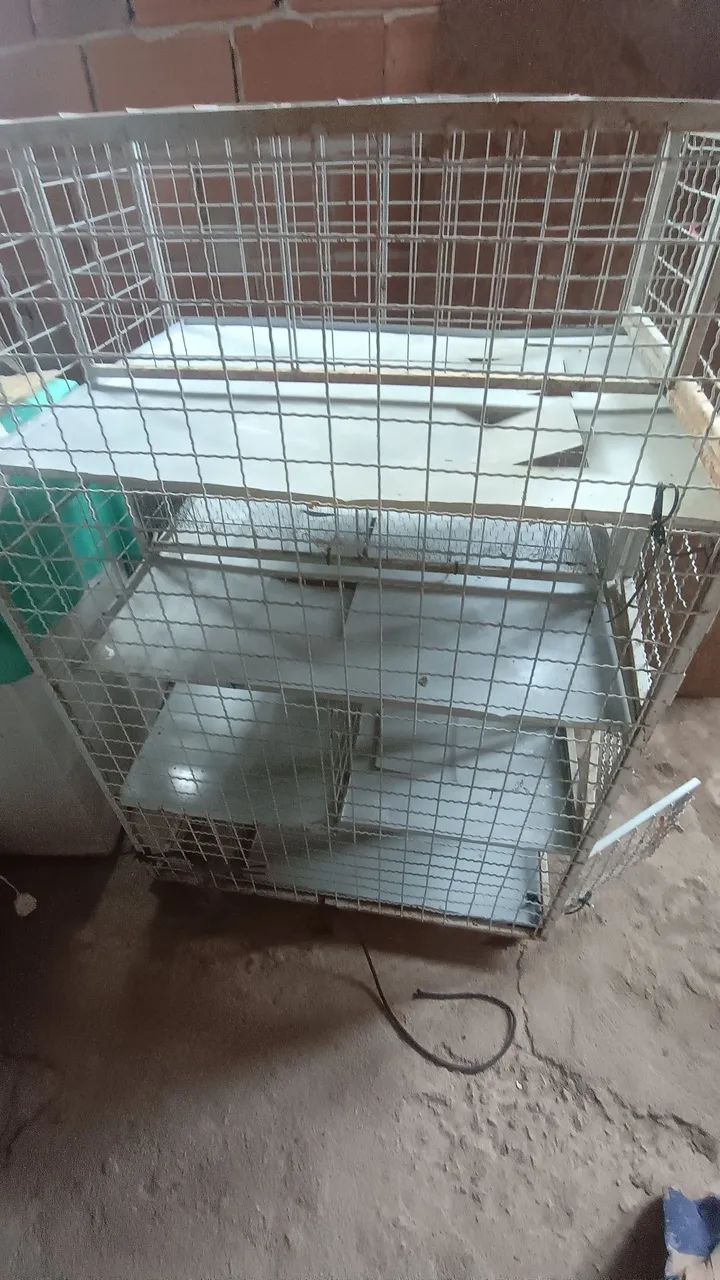 Gaiola para pet  - Foto 3