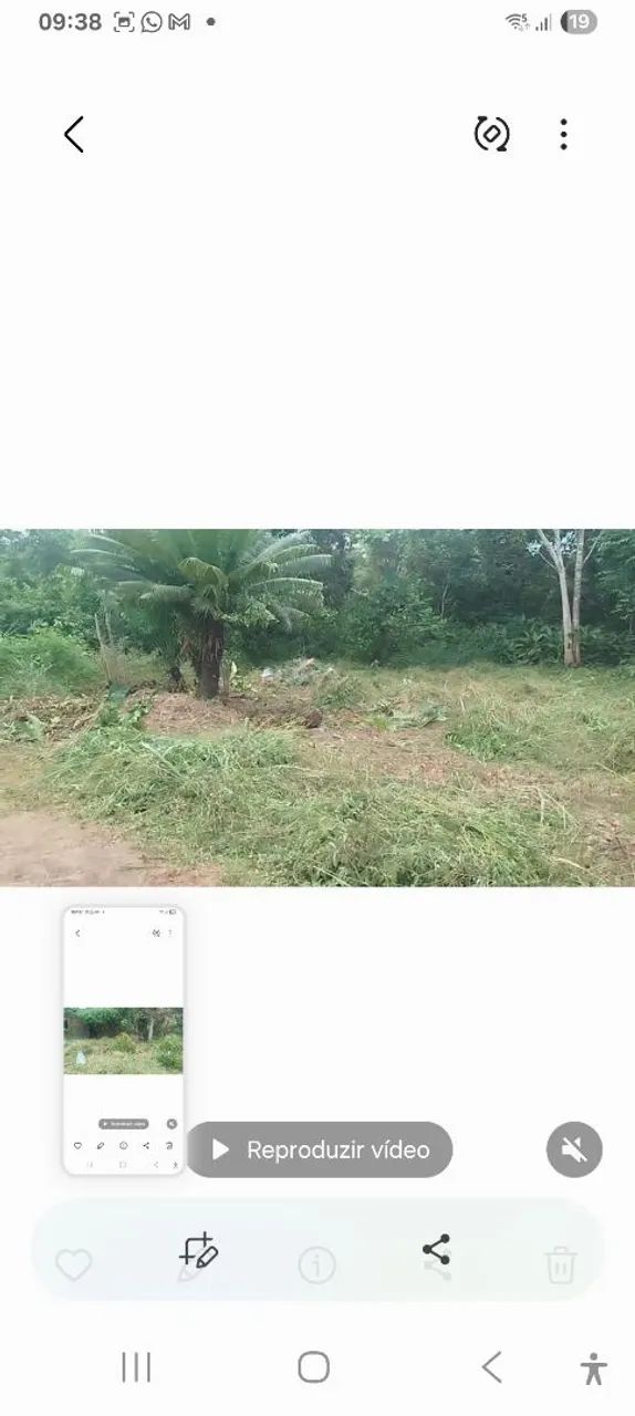 Vendo um terreno - Foto 3