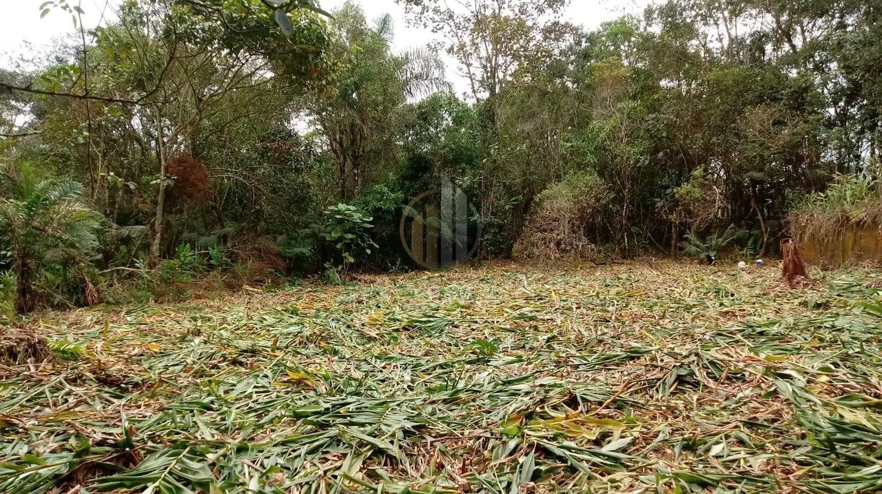 Terreno em Barra do Saí - Itapoá - Foto 2