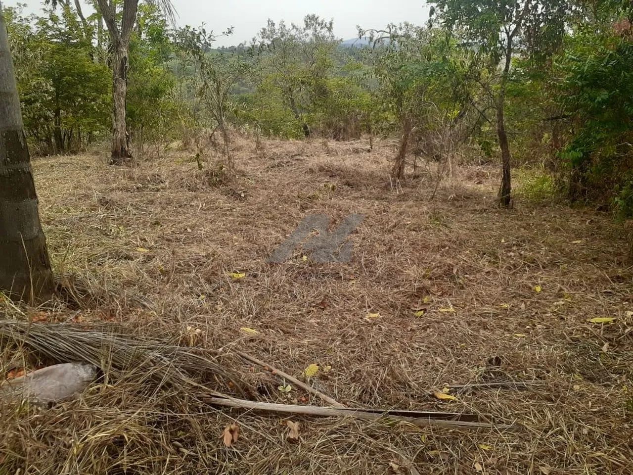 terreno - Joaquim Egídio - Campinas - Foto 3