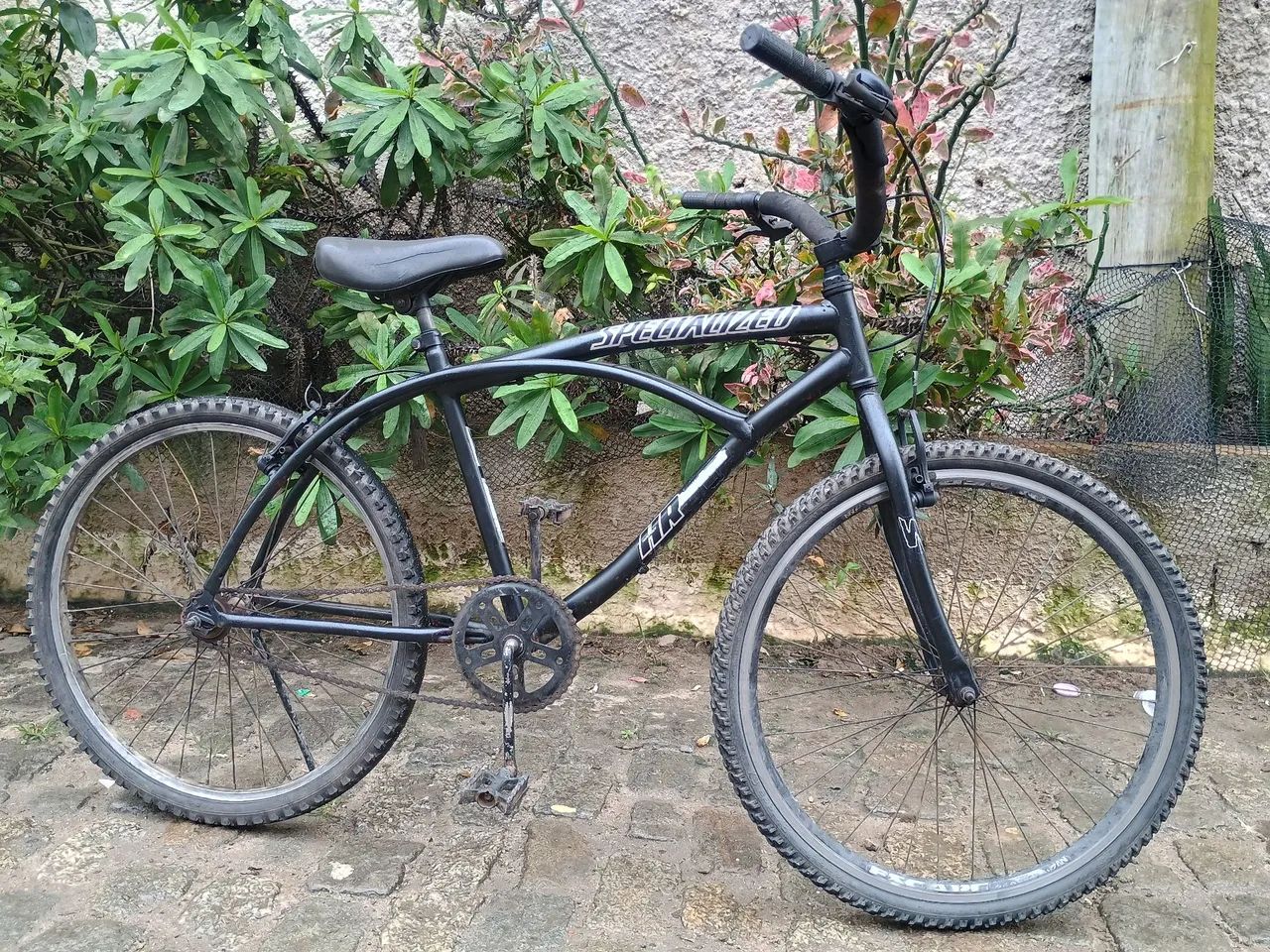 Bicicleta praiana 
