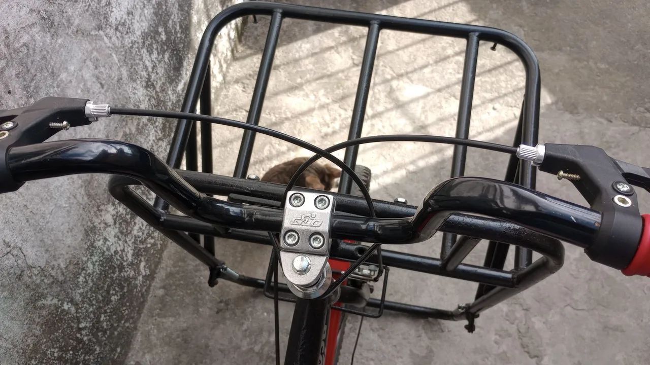 Bicicleta cargueira  - Foto 3