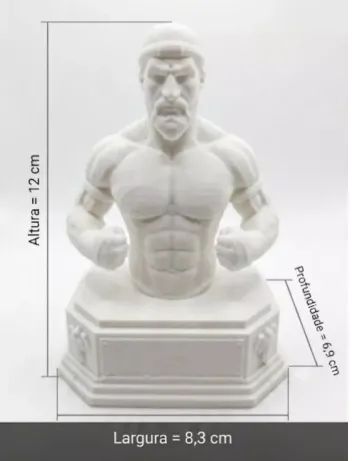 Busto de Lutador e Lutadora Muay Thai - Foto 2