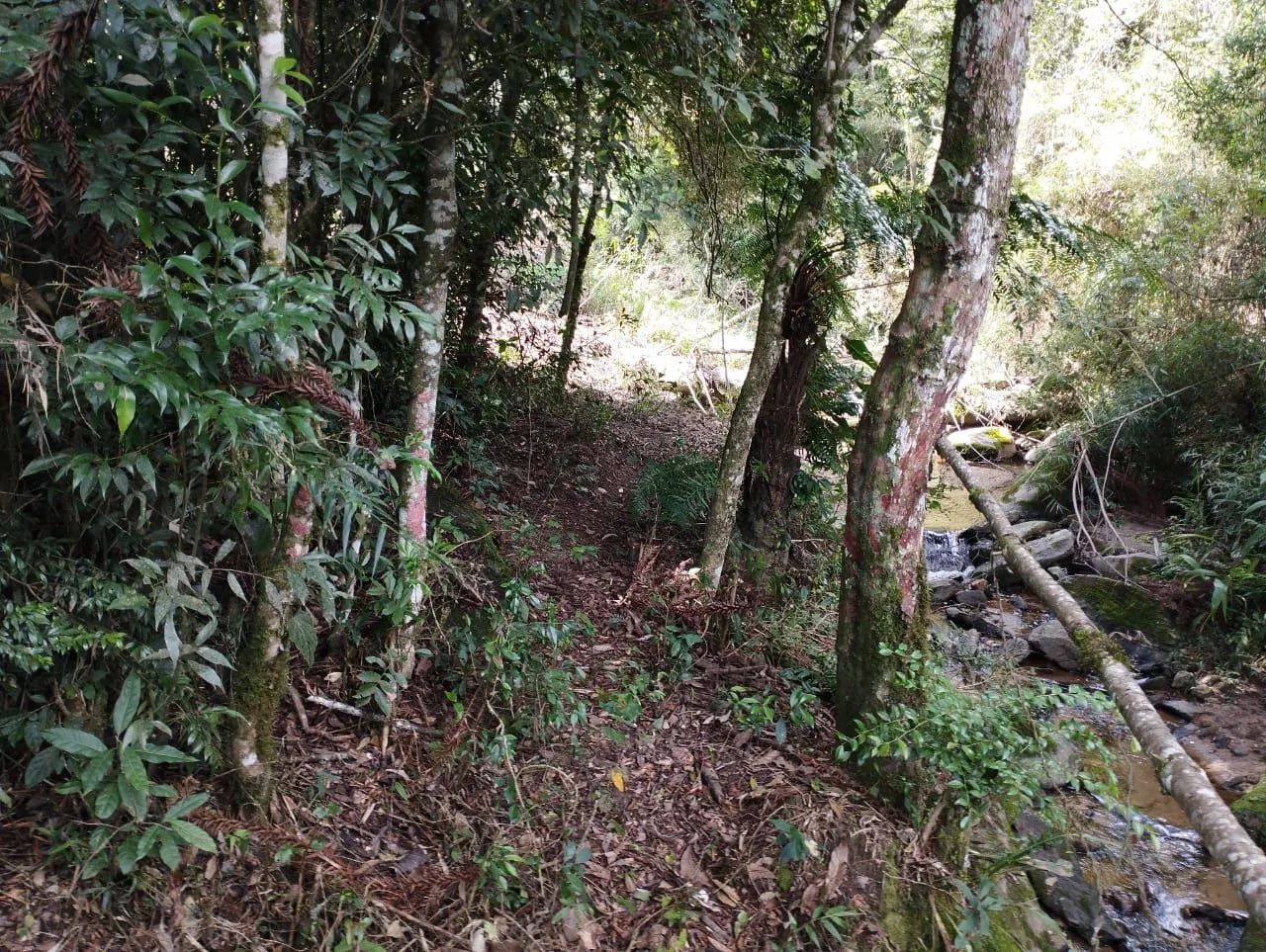 Pequena chácara  - Foto 5