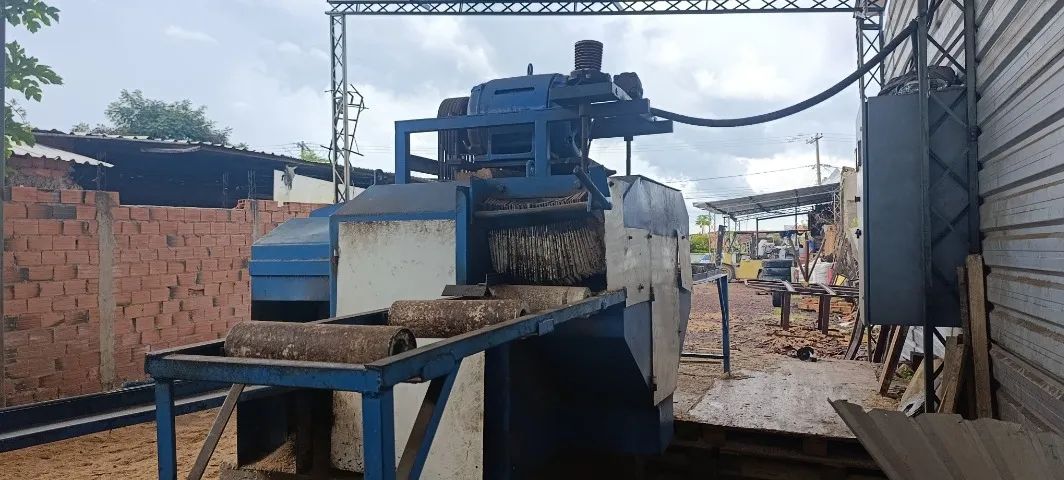 Serra germinada  - Foto 4