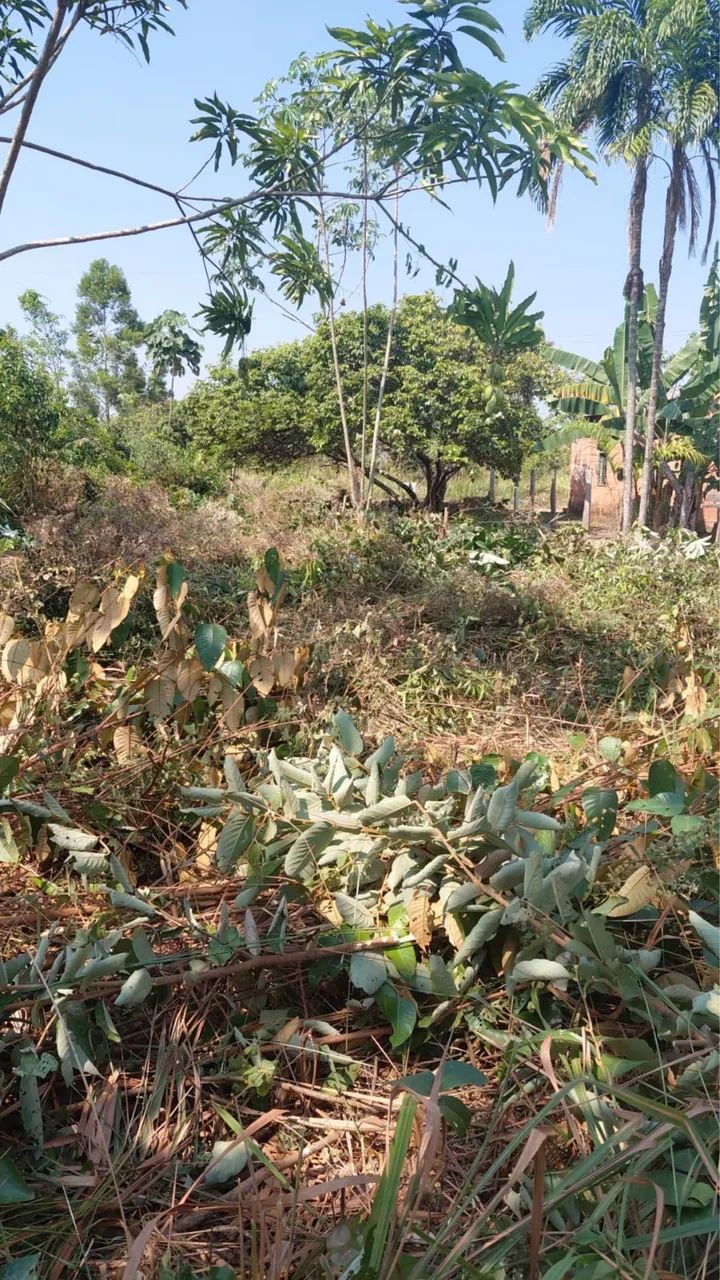 Terreno na Vila do 13 - Foto 2