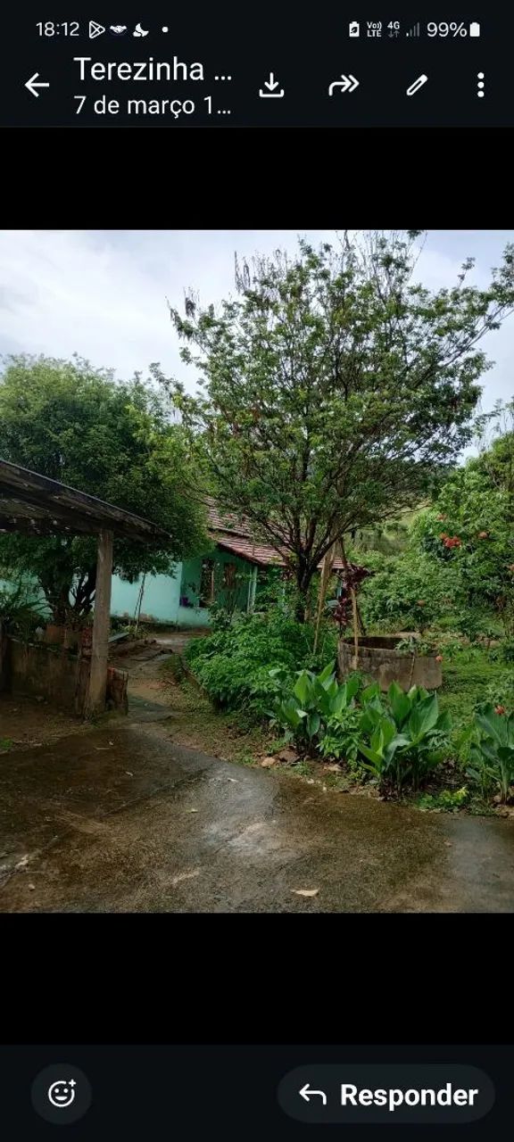 Sitio Palmeiras  - Foto 3