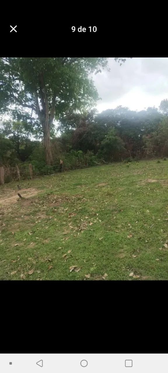 Terreno 10 por 30 vendo ou troco  - Foto 5
