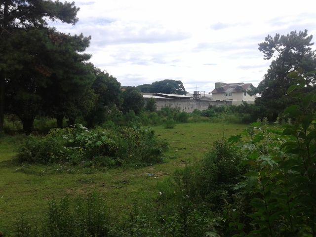 Área urbana com 04 lotes - Foto 2